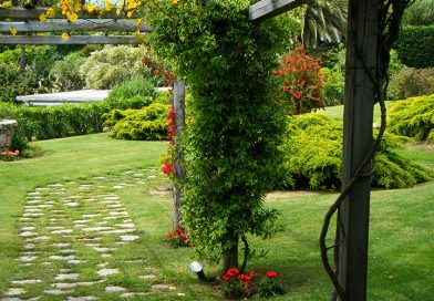 giardino