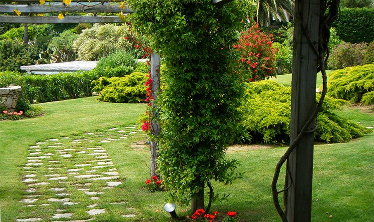 giardino