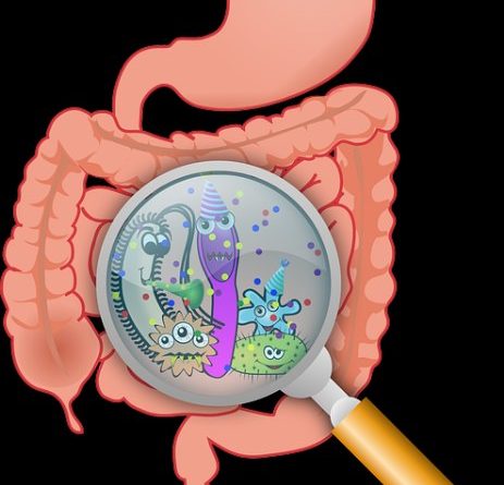 Fermenti lattici per problemi intestinali: scopriamo proprietà e benefici 3