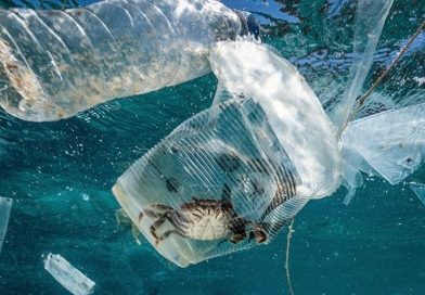 Bioplastiche: via libera al loro utilizzo nei monouso