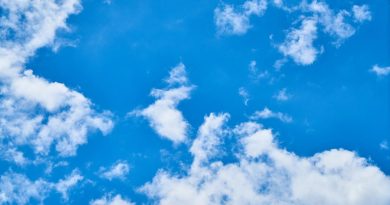 Come purificare l’aria di casa 3