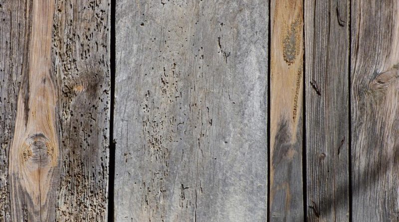Come stanare le blatte: il nuovo gel definitivo 17