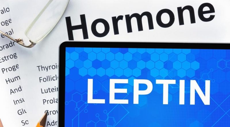 Che cos’è la leptina e come influenza il nostro corpo 1