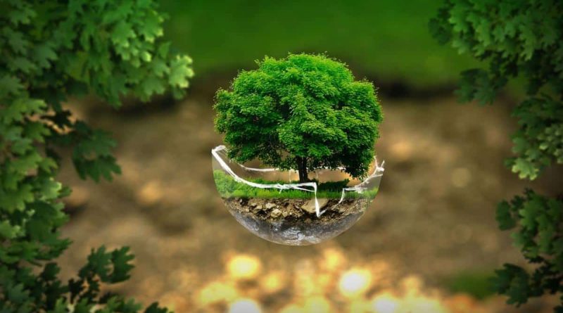 Ambiente ed Ecologia: Una Visione Olistica per la Sostenibilità 17