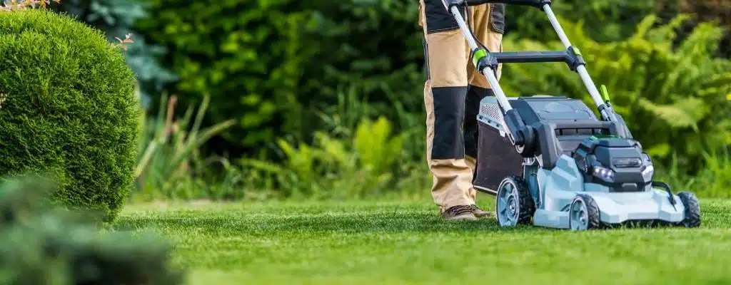 Manutenzione Verde Pubblico: tecniche e vantaggi per città più vivibili 2 Manutenzione Verde Pubblico: tecniche e vantaggi per città più vivibili 1