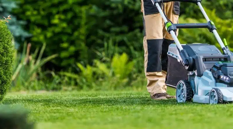 Manutenzione Verde Pubblico: tecniche e vantaggi per città più vivibili 5