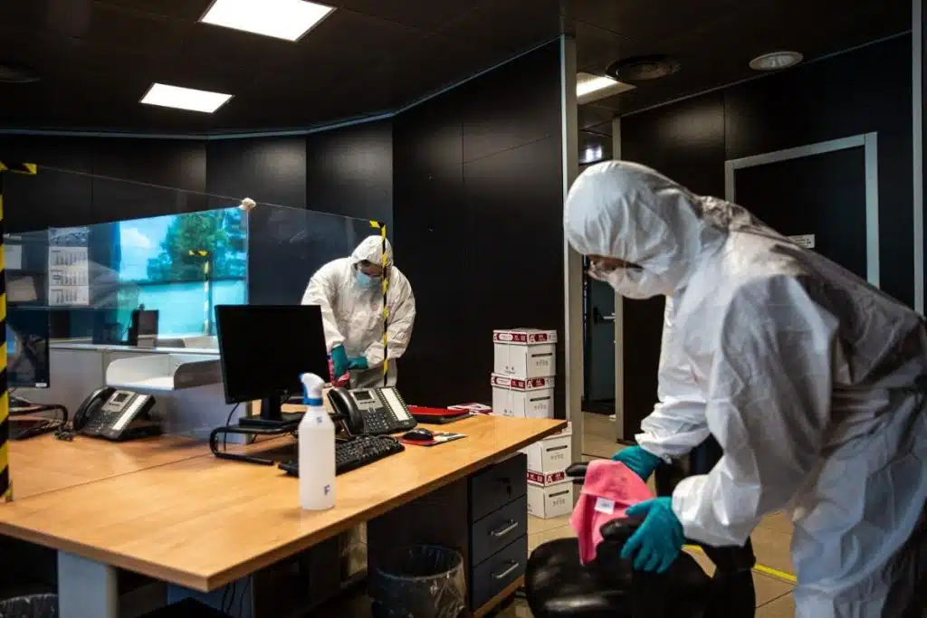 Parassiti nei luoghi di lavoro: come tutelare igiene, personale e clienti 1