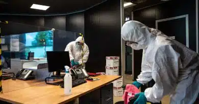 Parassiti nei luoghi di lavoro: come tutelare igiene, personale e clienti