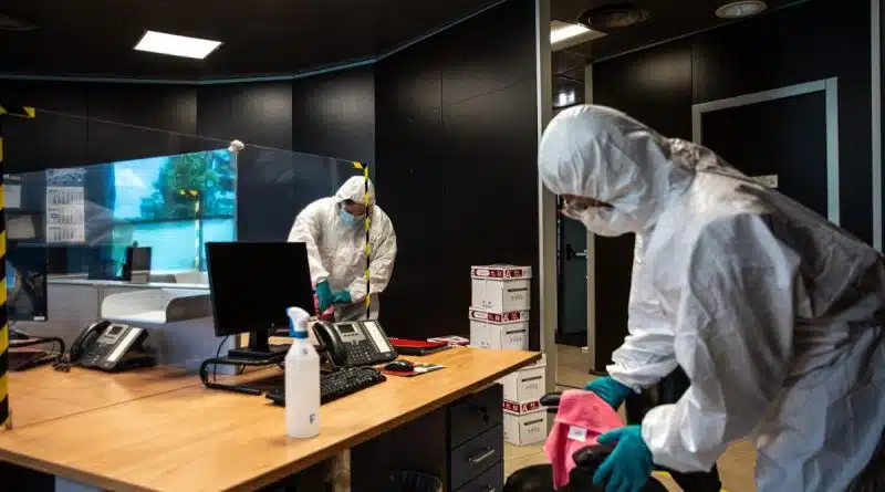 Parassiti nei luoghi di lavoro: come tutelare igiene, personale e clienti 1