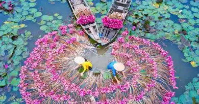 Vietnam: l’importanza dell’acqua e il fascino di una terra avvolgente